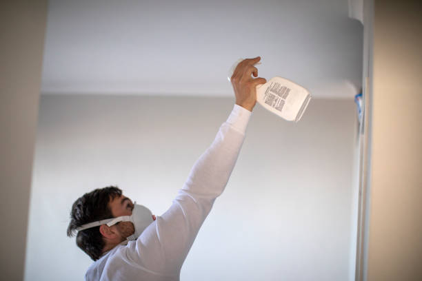 Mold Testing and Removal in Lockport, LA