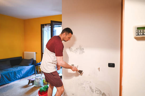 Best Commercial Mold Removal  in Lockport, LA
